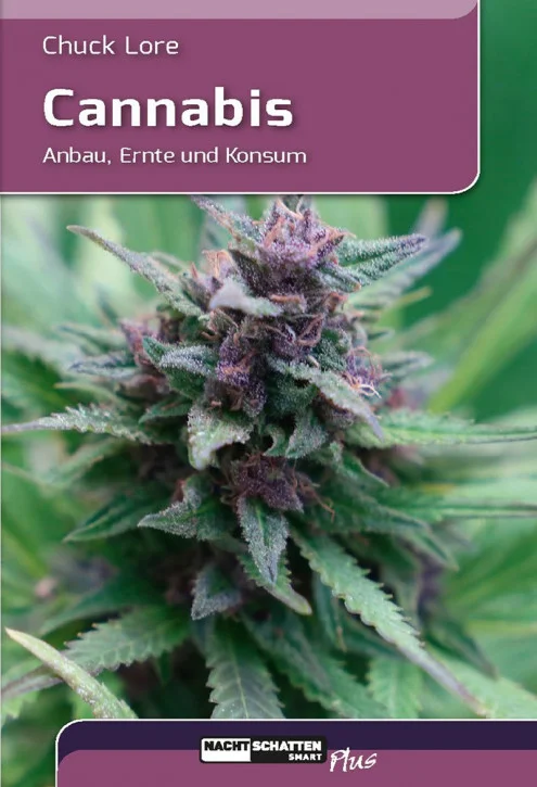 breakshop-227464