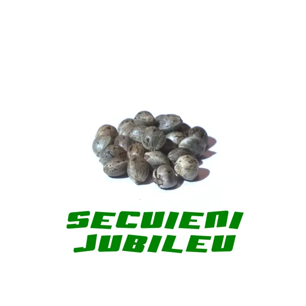 fourtwenty-238601