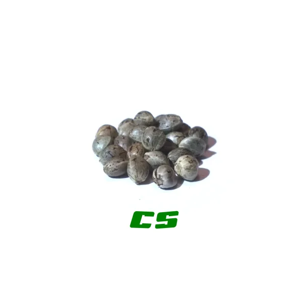 fourtwenty-238894