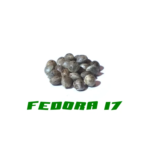 fourtwenty-238926