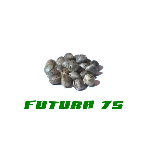 fourtwenty-238932