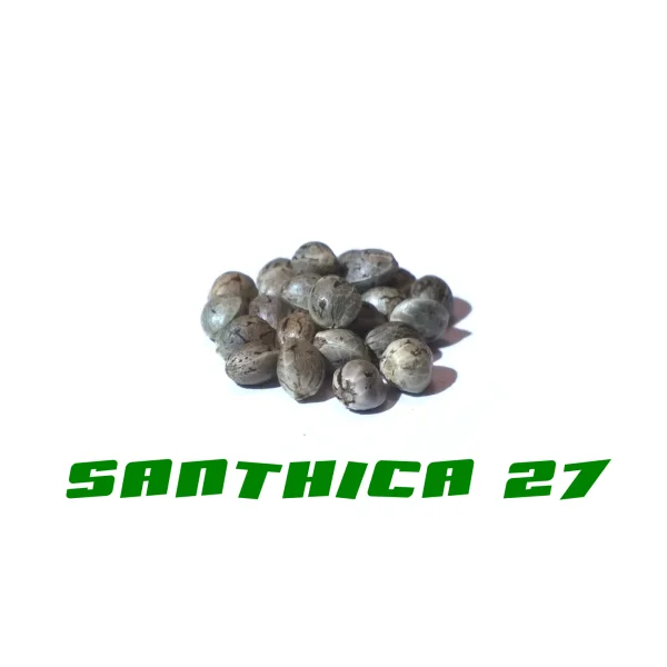 fourtwenty-238939