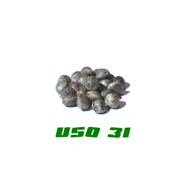 fourtwenty-238942