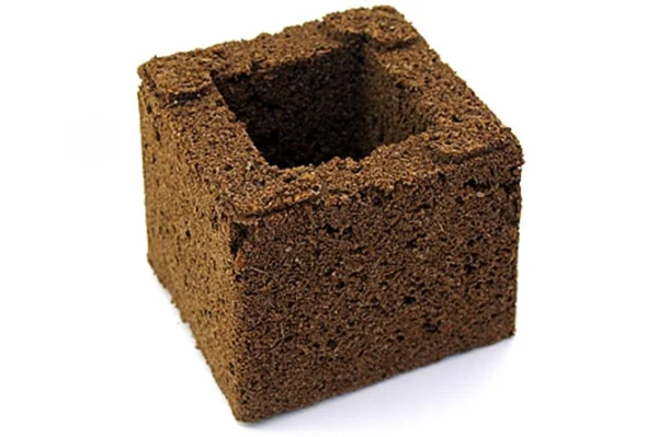 fourtwenty-241742