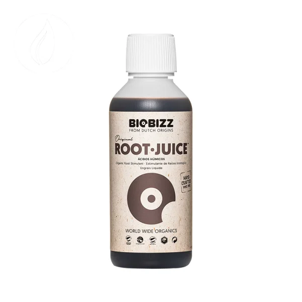 fourtwenty-242275