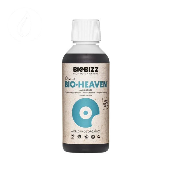 fourtwenty-242403