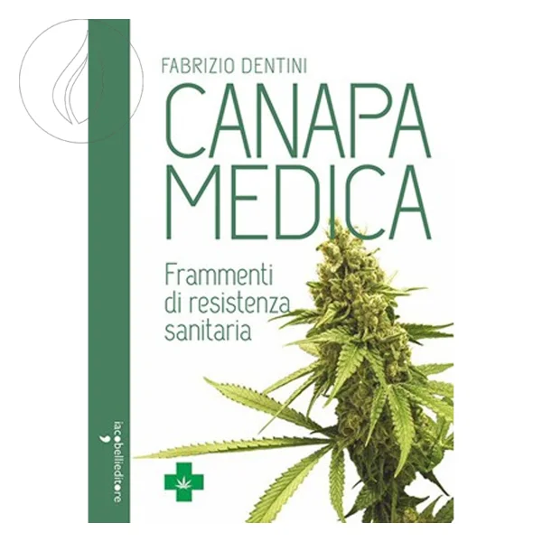 fourtwenty-249959