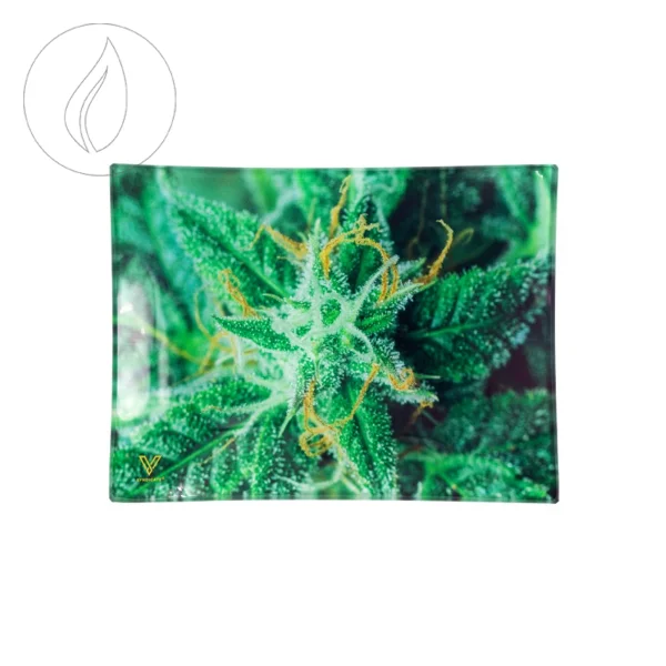 fourtwenty-250572