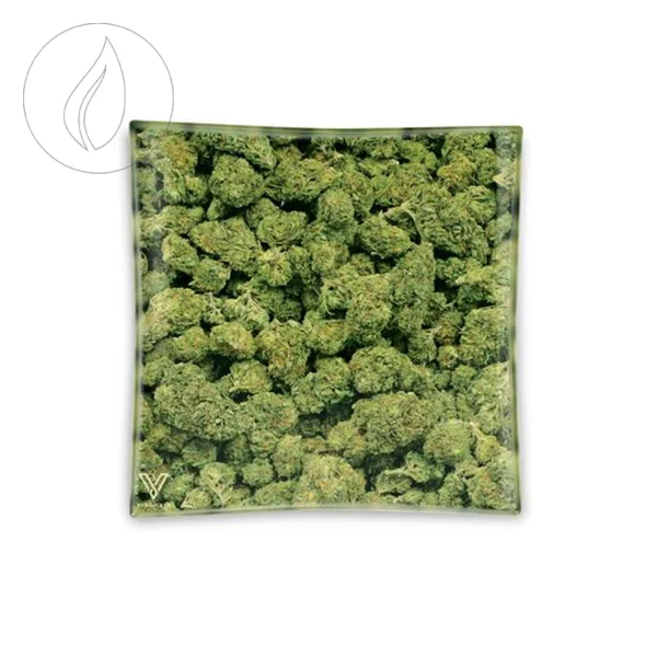fourtwenty-250664