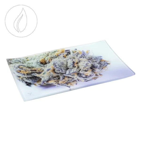 fourtwenty-250757