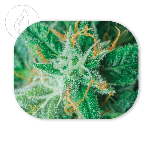 fourtwenty-250784