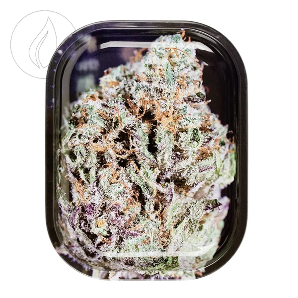 fourtwenty-250869