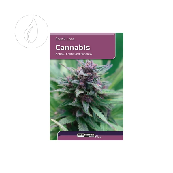 fourtwenty-250933