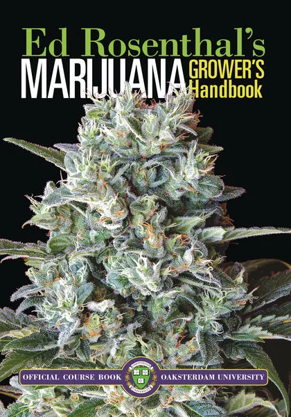 fourtwenty-253467