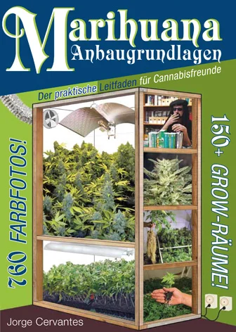 fourtwenty-253680