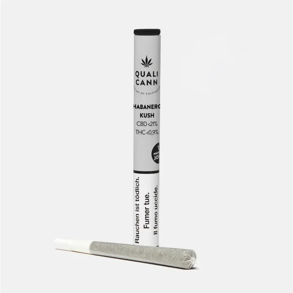 fourtwenty-254141