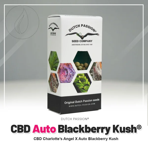 fourtwenty-254398