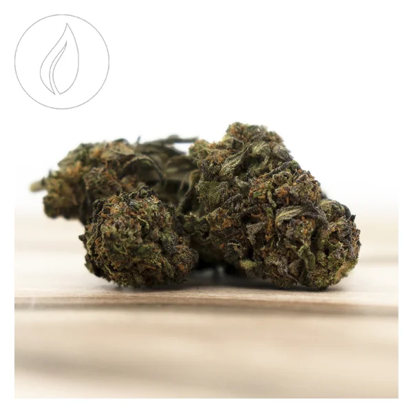 fourtwenty-254483