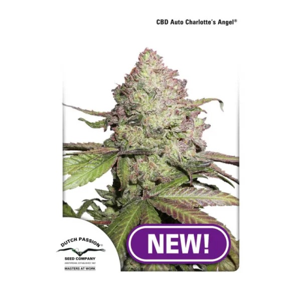 fourtwenty-254541