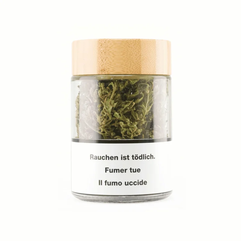 goodvibe-341458