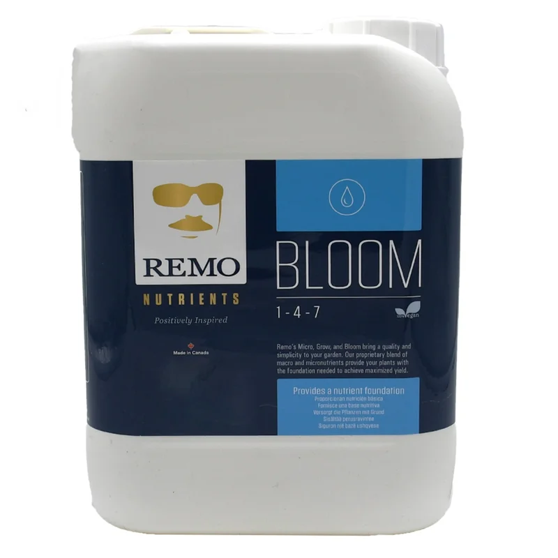 hempbasement-342024