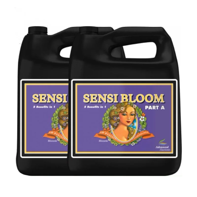 hempbasement-343184