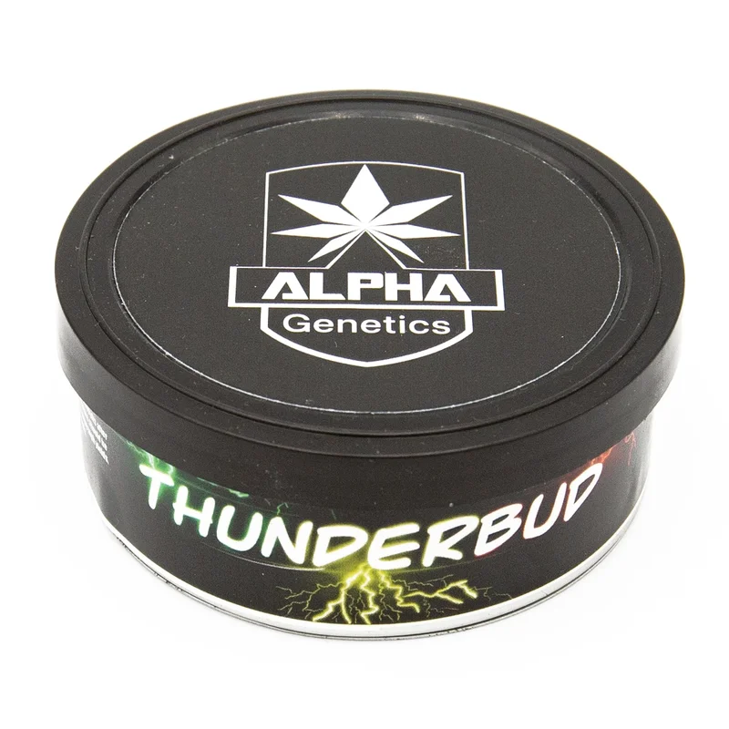 hempbasement-343252