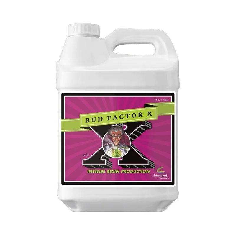 hempbasement-343327