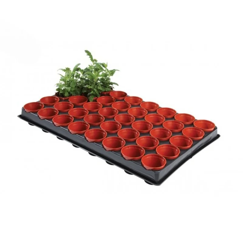 hempbasement-343476
