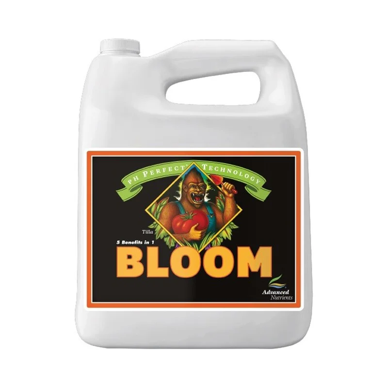 hempbasement-344878