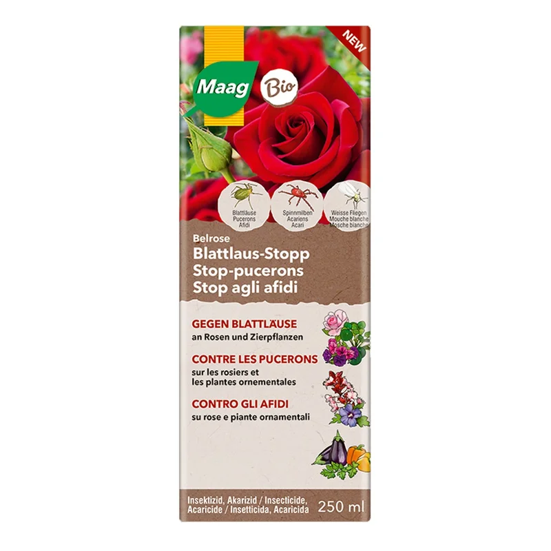 hempbasement-346430