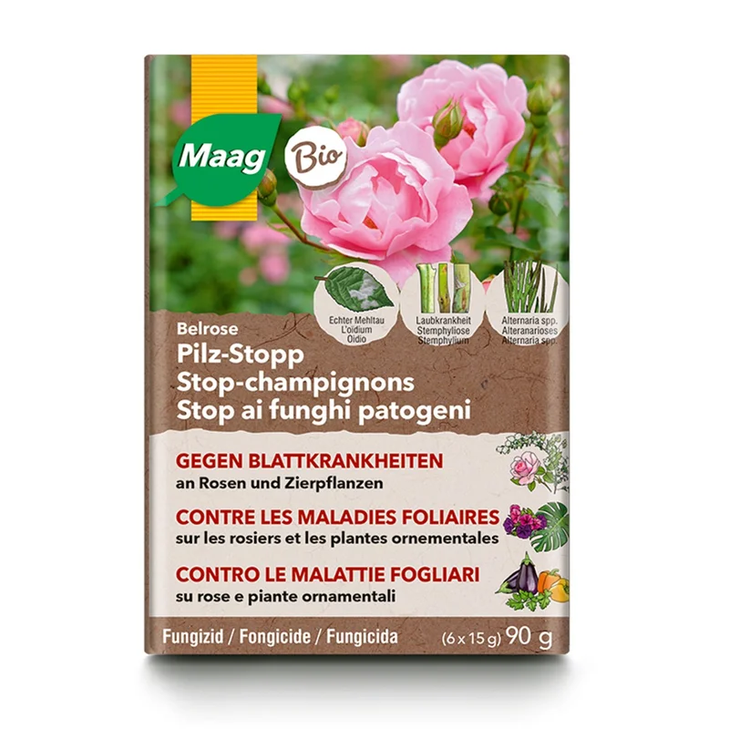 hempbasement-346442