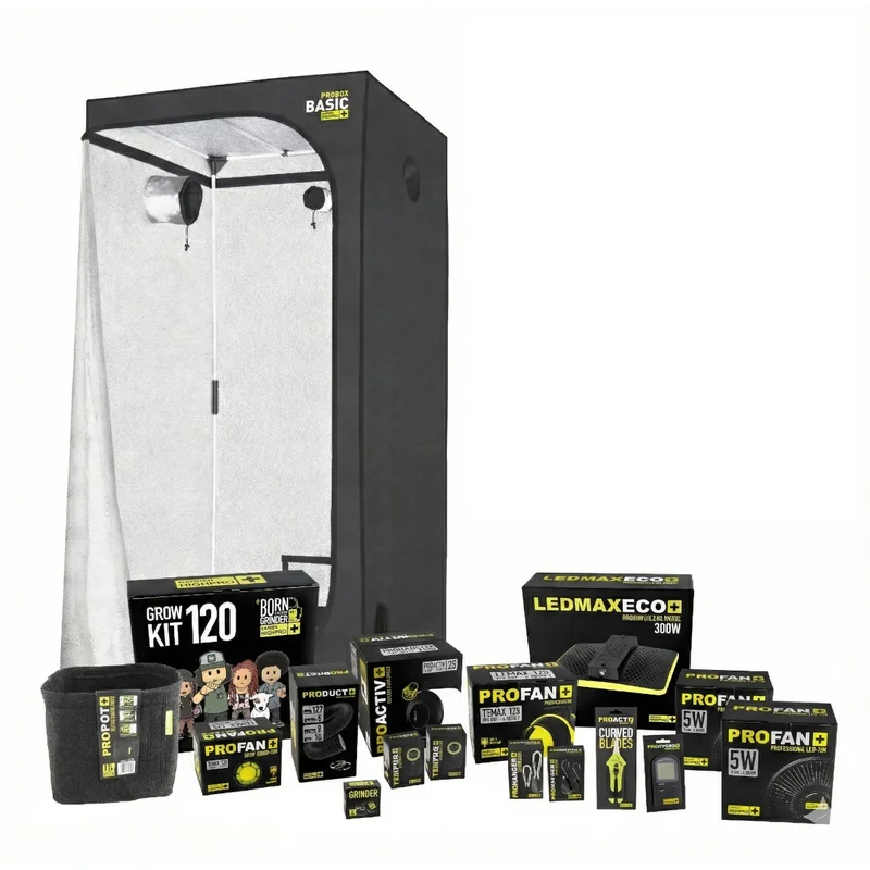 hempbasement-346800