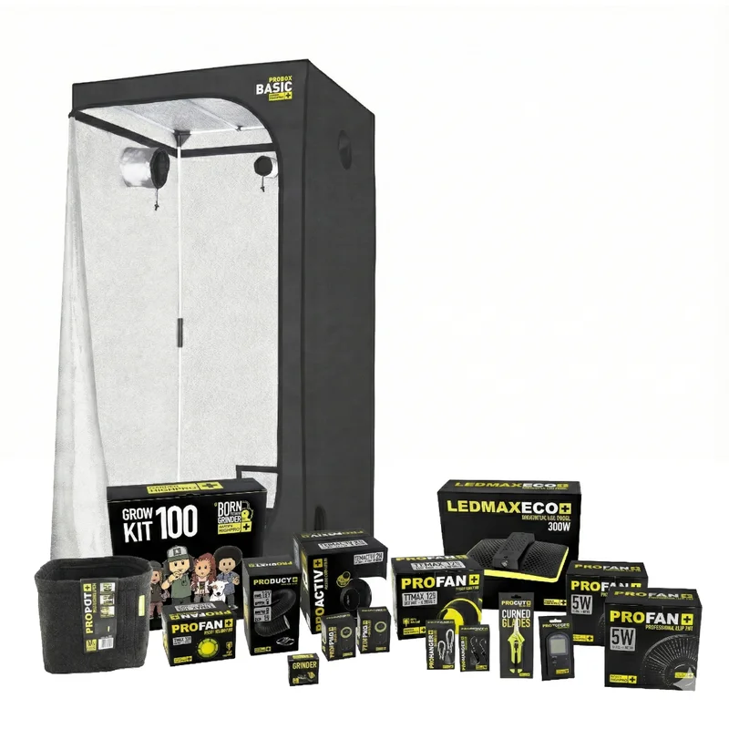 hempbasement-347047