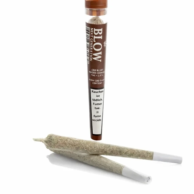 hempbasement-349172