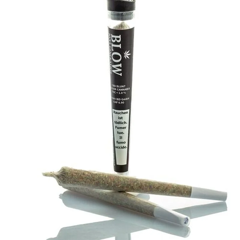 hempbasement-350020