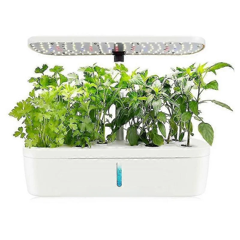 hempbasement-350434