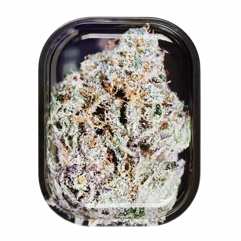 hempbasement-350474