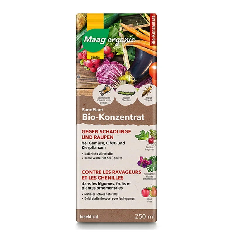 hempbasement-350548