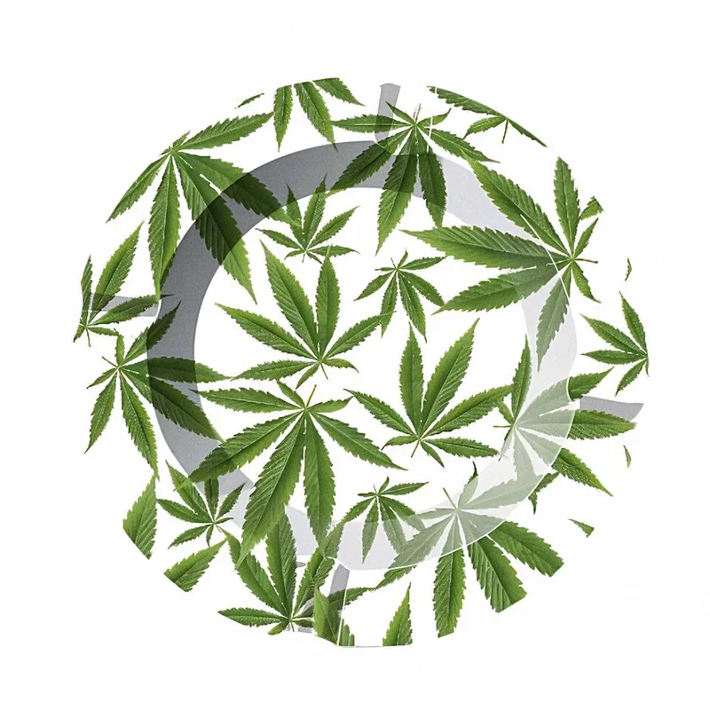 hempbasement-350846