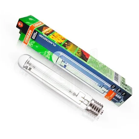 hempbasement-350973