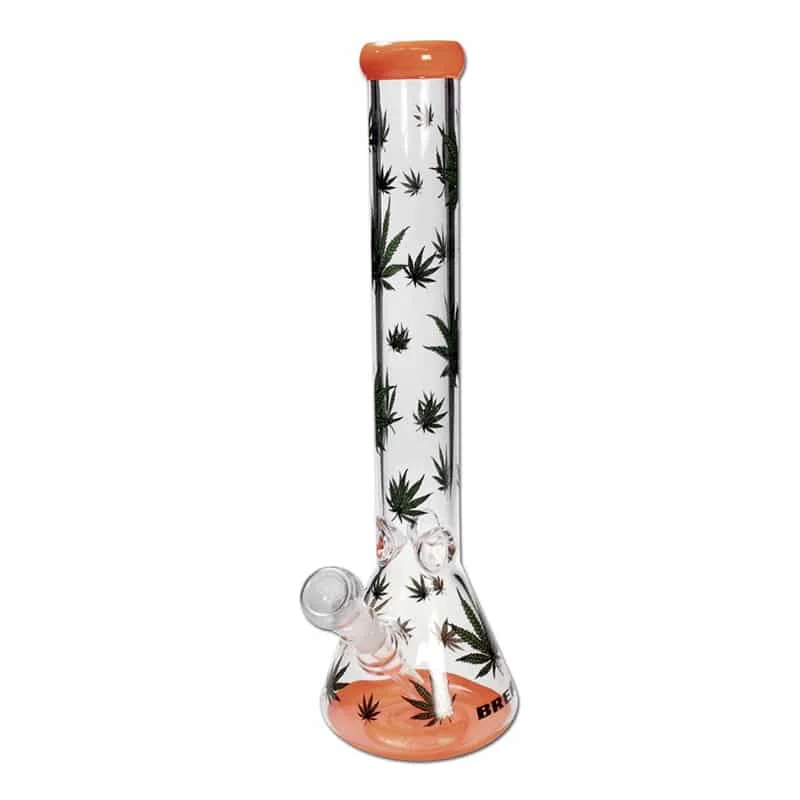 hempbasement-351113