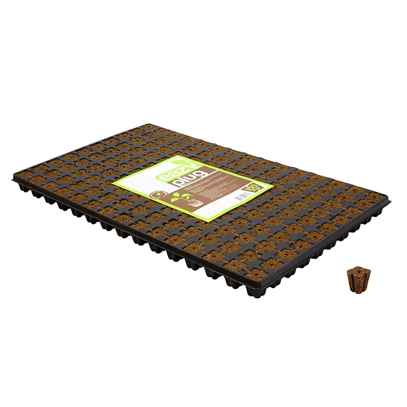 hempbasement-351225