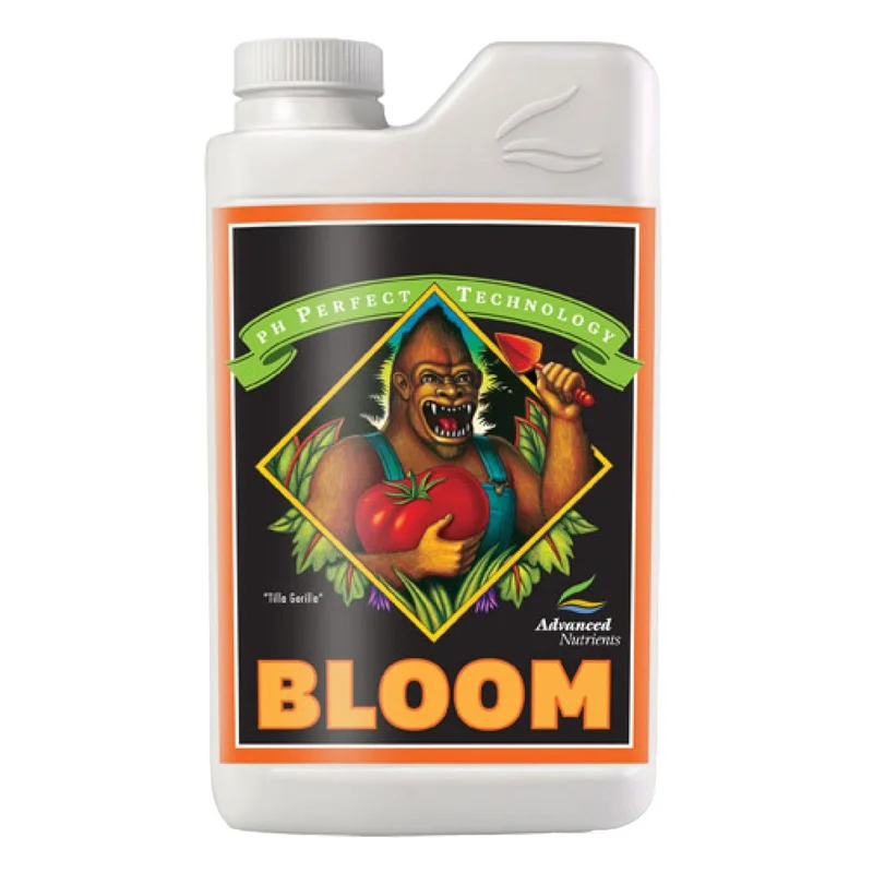 hempbasement-351471