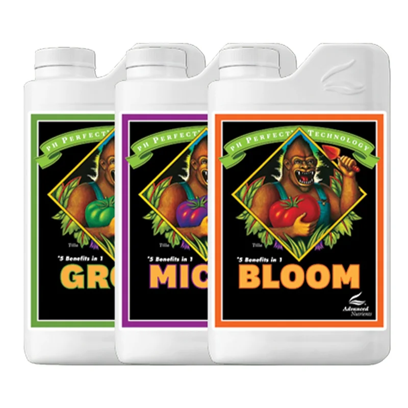 hempbasement-351526