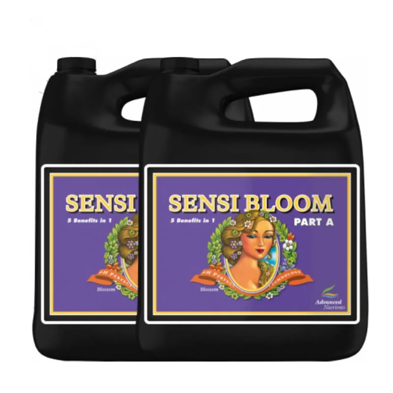 hempbasement-351826