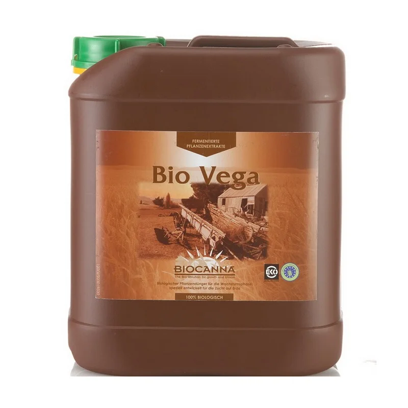 hempbasement-351849