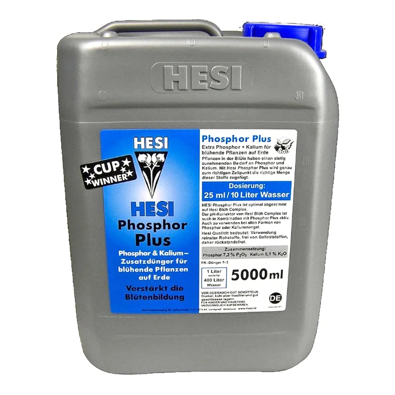 hempbasement-352021