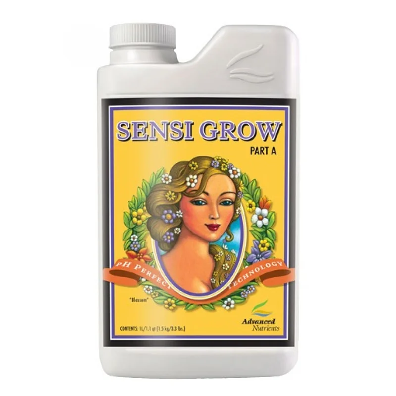 hempbasement-352081