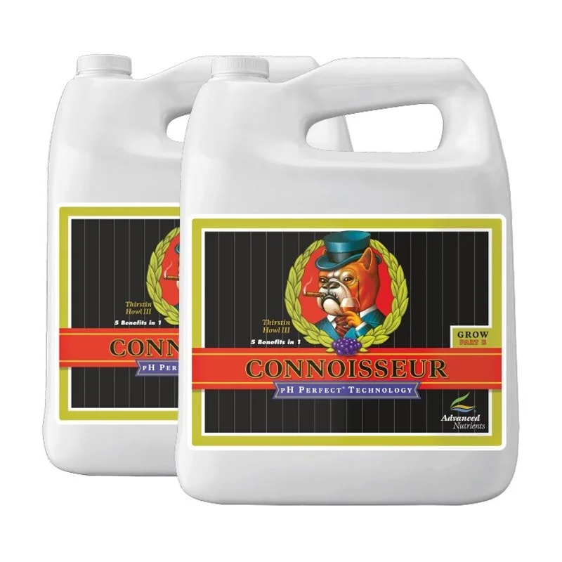 hempbasement-352331